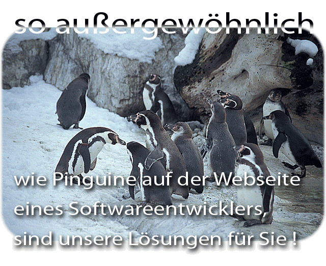 Willkommen auf den Internetseiten von IRV-Software